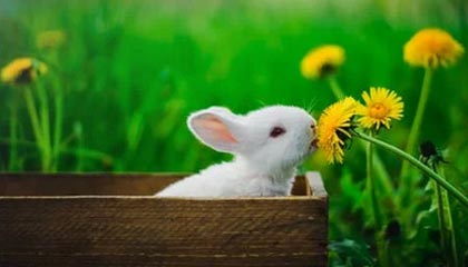 17173热门游戏榜：米哈游《原神》6.0版本上线 腾讯《穿越火线》玩30人吃鸡